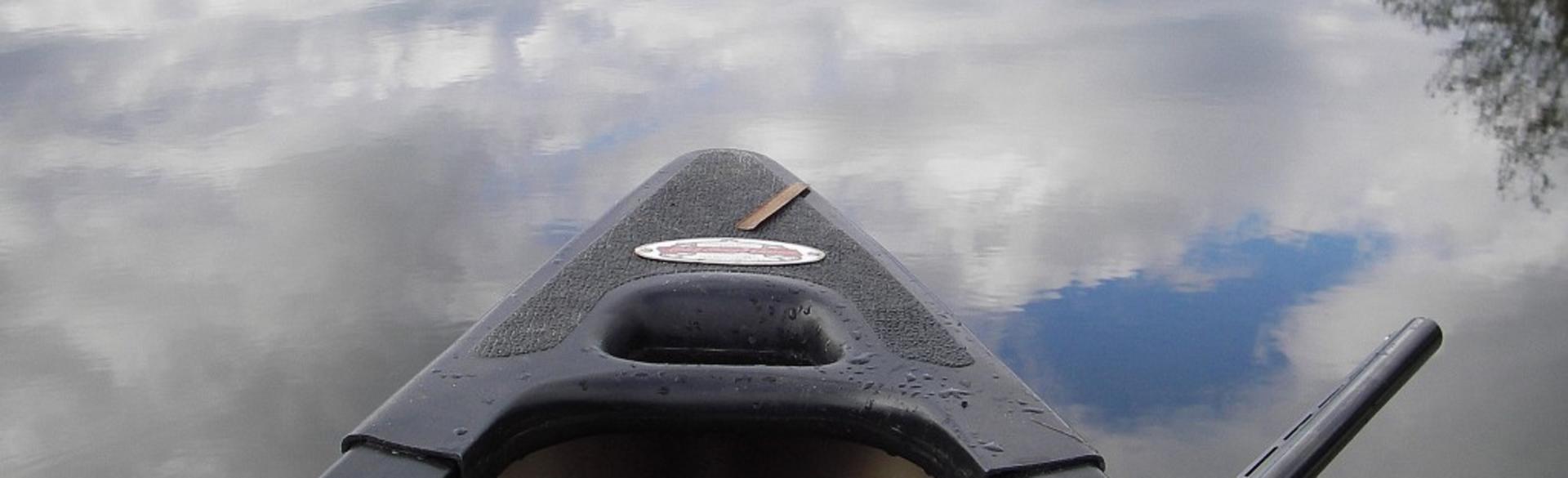 Hunting in Grand Rapids Rabbits, Wild Turkey, Pheasant Experience GR